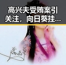 高兴夫受贿案引关注,向日葵挂件成为考生家长新宠